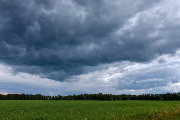 Contraste Chuva Tempestade Nuvens Sobre Prado Verde Algumas Árvores Verão — Fotografia de Stock