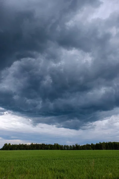 Ezzel Szemben Eső Vihar Felhők Zöld Rét Néhány Fák Nyáron — Stock Fotó