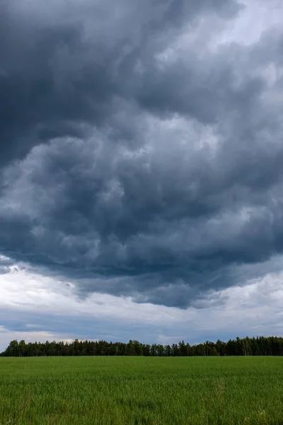 Contraste Chuva Tempestade Nuvens Sobre Prado Verde Algumas Árvores Verão — Fotografia de Stock