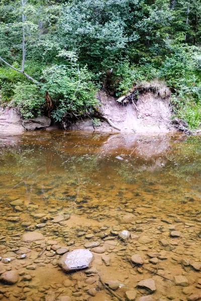 Skalista Stream Rzeka Głęboko Las Pogoda Latem Zielonych Skałach Piaskowca — Zdjęcie stockowe