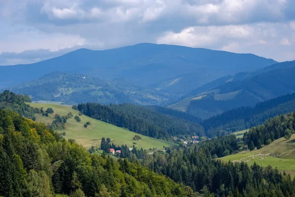 Batı Karpat Tatra dağ manzarası yeşil alanları ve ormanları ön planda 