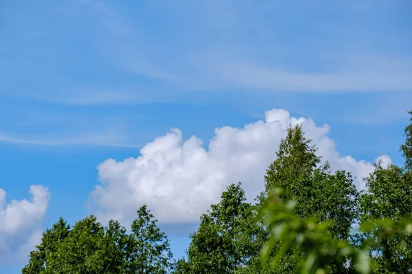 Contrast Regen Onweerswolken Boven Groene Weide Enkele Bomen Zomer — Stockfoto