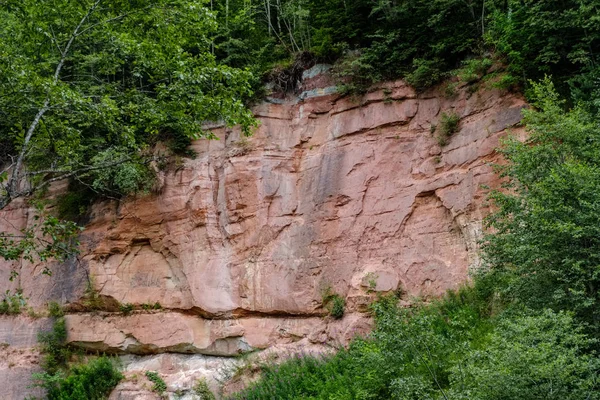 Rocky Stream River Deep Forest Summer Green Weather Sandstone Cliffs — Stock Photo, Image