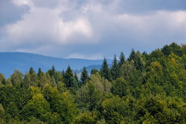 Carpates Occidentales Tatra Horizon Montagne Avec Des Champs Verts Des — Photo
