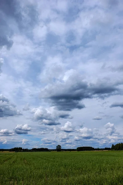 Contrast Rain Storm Clouds Green Meadow Some Trees Summer — Stock Photo, Image