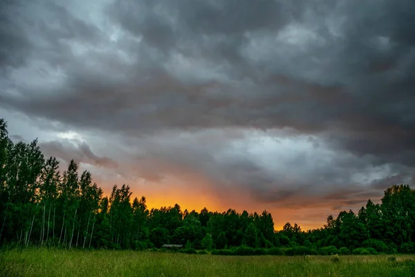 Nuages Tempête Pluie Contrastés Sur Prairie Verte Certains Arbres Été — Photo