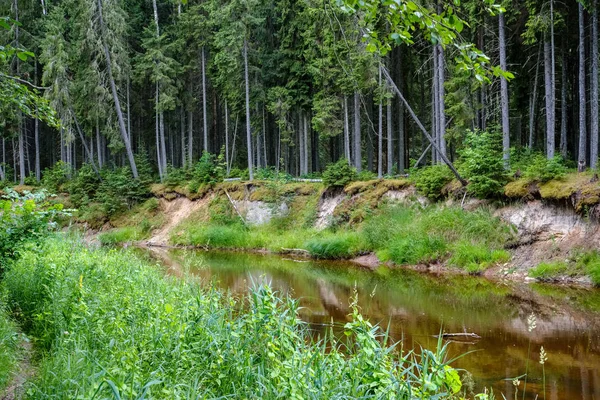 Skalista Stream Rzeka Głęboko Las Pogoda Latem Zielonych Skałach Piaskowca — Zdjęcie stockowe