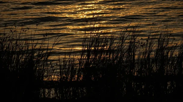 Beau Coucher Soleil Sur Mer Baltique Avec Eau Calme Des — Photo