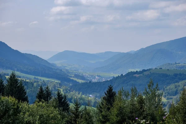 Västra Karpaterna Tatra Mountain Skyline Med Gröna Fält Och Skogar — Stockfoto