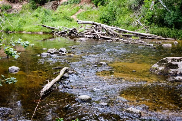 Rocky Ström Floden Djupt Skogen Gröna Sommarväder Med Sandstensklippor Och — Stockfoto