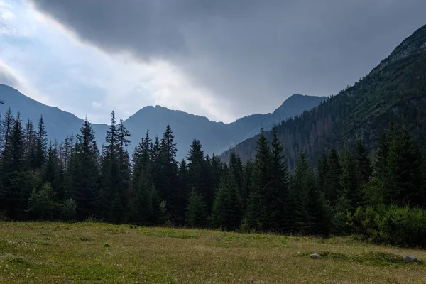 Cárpatos Ocidentais Tatra Linha Horizonte Montanha Com Campos Verdes Florestas — Fotografia de Stock