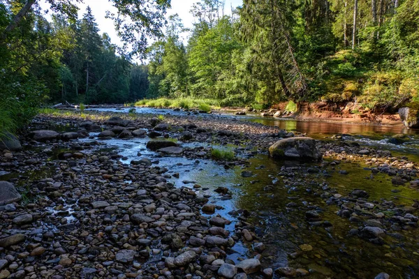 Arroyo Rocoso Río Profundo Bosque Tiempo Verde Verano Con Acantilados — Foto de Stock