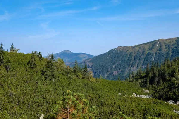 Cárpatos Occidentales Tatra Horizonte Montaña Con Campos Verdes Bosques Primer —  Fotos de Stock