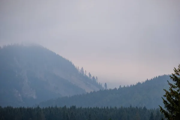 Batı Karpat Tatra Dağ Manzarası Yeşil Alanları Ormanları Planda — Stok fotoğraf