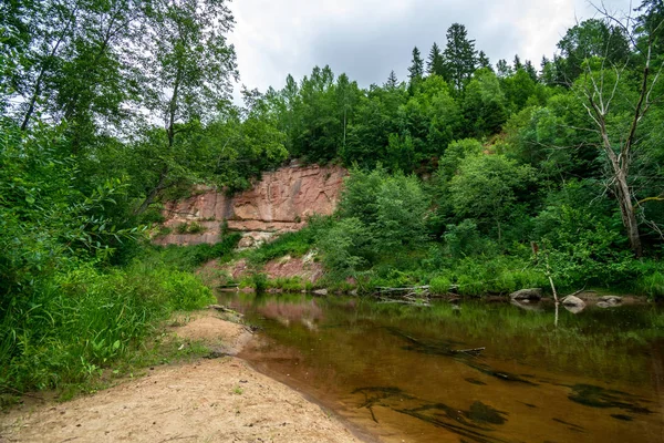 在夏季绿色的天气里 在森林深处的河流中 有砂岩悬崖和古老的干木树干 拉脱维亚 Cesis 附近的 Amama — 图库照片