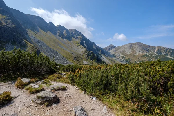Rocky Turistická Stezka Pro Turisty Karpatech Západních Tatrách Slovensku Jasné — Stock fotografie