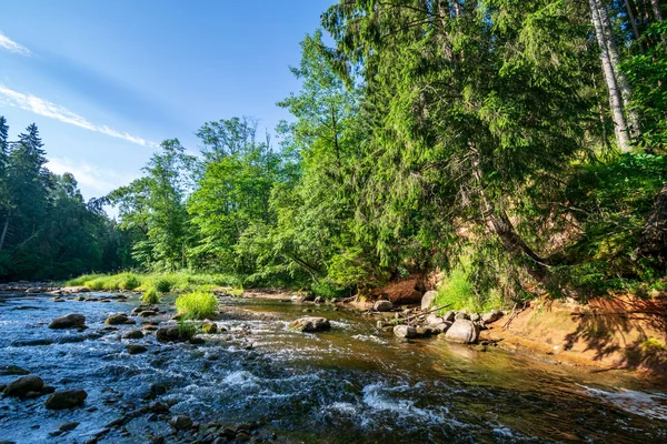 Córrego Rochoso Rio Profundamente Floresta Verão Tempo Verde Com Falésias — Fotografia de Stock