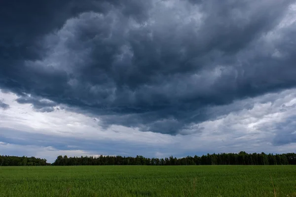 Contraste Chuva Tempestade Nuvens Sobre Prado Verde Algumas Árvores Verão — Fotografia de Stock