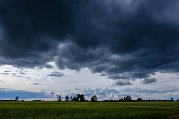 contrast rain storm clouds over green meadow and some trees in summer 