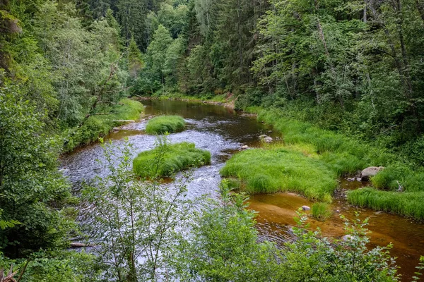 Skalista Stream Rzeka Głęboko Las Pogoda Latem Zielonych Skałach Piaskowca — Zdjęcie stockowe