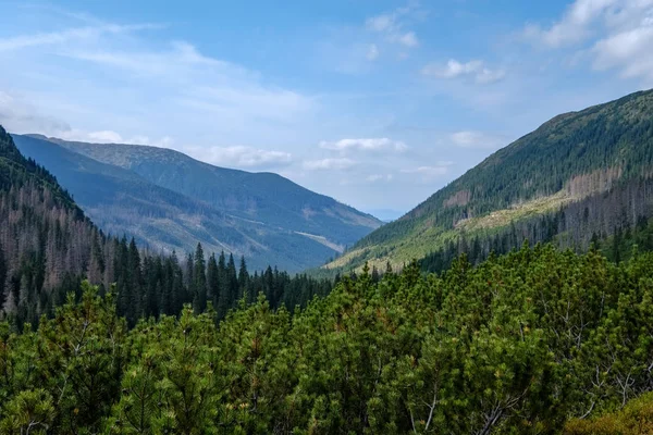 Západní Karpaty Tatra Horské Panorama Zelenými Poli Lesy Popředí — Stock fotografie