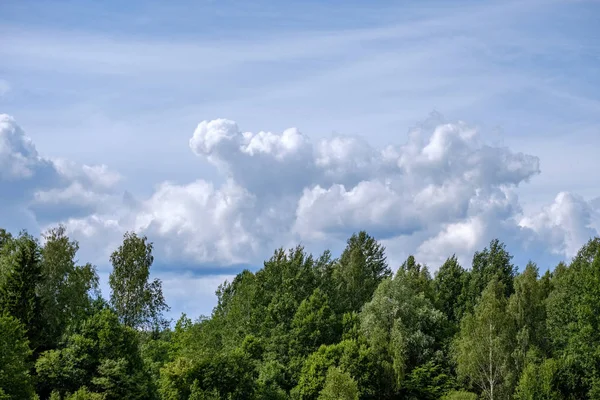 Nubes Lluvia Contraste Sobre Prado Verde Algunos Árboles Verano — Foto de Stock