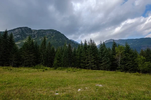 Carpates Occidentales Tatra Horizon Montagne Avec Des Champs Verts Des — Photo