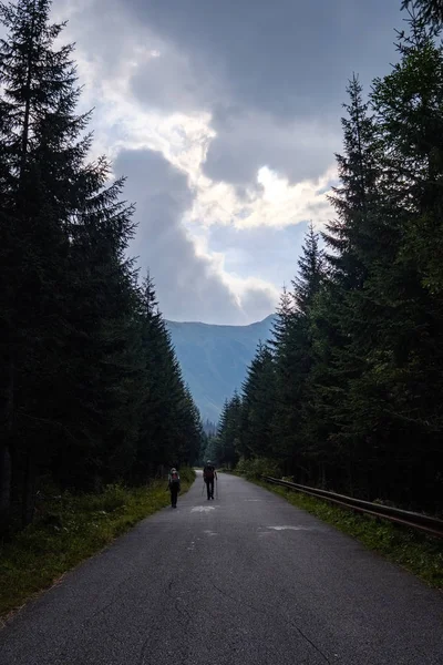Západní Karpaty Tatra Horské Panorama Zelenými Poli Lesy Popředí — Stock fotografie