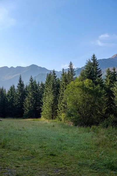 western carpathian Tatra mountain skyline with green fields and forests in foreground