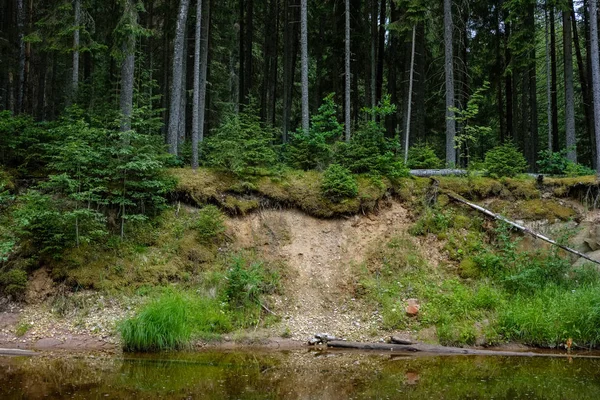 Ruisseau Rocheux Rivière Profondément Dans Forêt Par Temps Vert Été — Photo