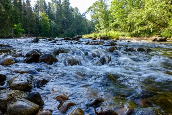 Skalista Stream Rzeka Głęboko Las Pogoda Latem Zielonych Skałach Piaskowca — Zdjęcie stockowe