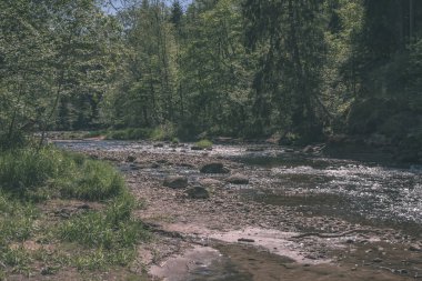 sakin Nehri yakınındaki Cesis, Letonya ağaçlarının yansımaları ile. Gauja Nehri