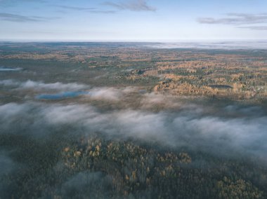 drone görüntü. hava alanları ve ormanları ile kırsal alan görünümünü sonbahar sis kaplı. Letonya - vintage eski film bakmak