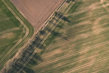drone görüntü. alanları ve ormanları ve bulutlu bahar günü nehir su yansımalar kırsal alan hava görünümünü. Letonya - vintage eski film bakmak