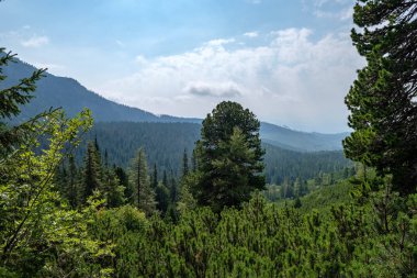 Turistik yürüyüş parkurları ile Batı Karpat Dağları. Tatra, Slovakya