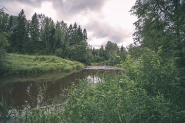 yaz, ormandaki güzel kayalık akarsu. Letonya Cesis yakınındaki nehirde Amata 