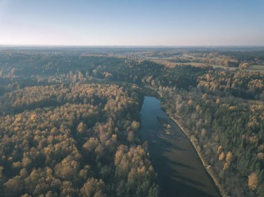 drone görüntü. sonbahar renkli ormandaki dalgalı Nehri'nin havadan görünümü. Letonya, nehir gauja - vintage eski film bakmak