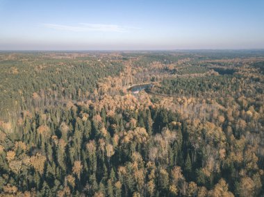 drone görüntü. Sonbahar kırsal alanda yukarıdan ormandaki sarı ve kırmızı renkli ağaçlar ile hava görünümünü. Letonya, gün Derma düşme - vintage eski film bakmak