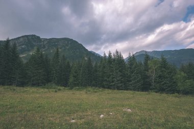 güzel Batı Karpat Tatra dağ manzarası yeşil alanları ve ormanları ön planda. Yaz aylarında yürüyüş parkurları Slovakça
