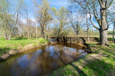 göl kıyısı ile yeşil yaz ayrı ağaçlarda