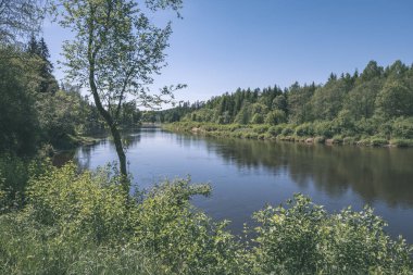 sakin Nehri yakınındaki Cesis, Letonya ağaçlarının yansımaları ile. Gauja Nehri