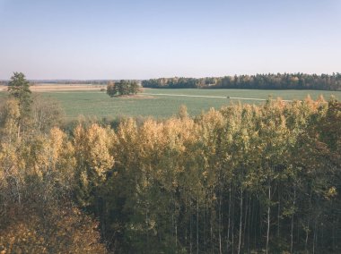 drone görüntü. hava alanları ve sarı renkli bulutlu sonbahar günü ormanlarda kırsal alan görünümünü ağaçlar gün düşer. Letonya - vintage eski film bakmak