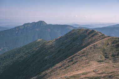 Batı Karpat dağ başında sonbaharda bulutlu gökyüzü altında 