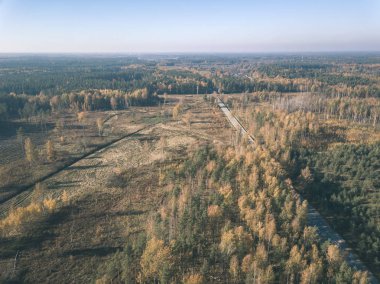 drone görüntü. hava alanları ve renkli sarı ile bulutlu sonbahar günü ormanlarda kırsal alan görünümünü düşen ağaçlar - vintage eski film bakmak
