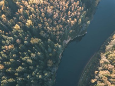drone görüntü. sonbahar renkli ormandaki dalgalı Nehri'nin havadan görünümü. Letonya, nehir gauja - vintage eski film bakmak