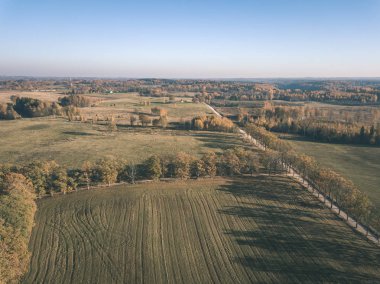 drone görüntü. çakıl yol sonbahar renkli alanları ve ormanları ile kırsal alan hava görünümünü. Letonya - vintage eski film bakmak