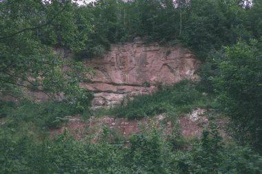 Yaz aylarında nehir derin orman kayalık akış. Letonya Cesis yakınındaki nehirde Amata