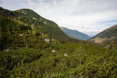 erken sonbahar renkleri içinde ağaçlar ve ormanlar ile kaplı bulutlu ve sisli Slovakça Western Karpat Tatra dağ manzarası