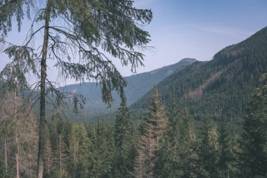 güzel Batı Karpat Tatra dağ manzarası yeşil alanları ve ormanları ön planda. Yaz aylarında yürüyüş parkurları Slovakça
