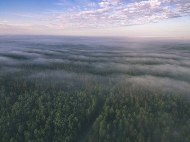drone görüntü. alanları ve ormanları ve bulutlu bahar günü nehir su yansımalar kırsal alan hava görünümünü. Letonya - vintage eski film bakmak